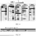 Fig. 16 - METHODS OF MAKING UNBIASED PHAGE LIBRARIES