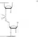 Fig. 02 - OLIGONUCLEOTIDES FOR HTT-1A MODULATION