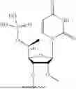 Fig. 49 - OLIGONUCLEOTIDES FOR HTT-1A MODULATION