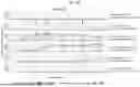 Fig. 09 - YEAST STRAINS WITH SELECTED OR ALTERED MITOTYPES AND METHODS OF MAKING AND USING THE SAME