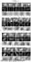 Fig. 02 - COMPOSITIONS AND METHODS FOR TRANSFORMATION OF MONOCOT SEED EXCISED EMBRYO EXPLANTS