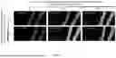 Fig. 09 - METHODS AND COMPOSITIONS FOR DETECTION USING NUCLEIC ACID PROBES