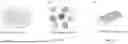 Fig. 02 - HIGH THROUGHPUT SINGLE CELL BASED ASSAY FOR CAPTURING GENOMIC INFORMATION FOR FUNCTIONAL AND IMAGING ANALYSIS AND METHODS OF USE
