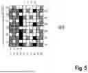 Fig. 06 - TEXTILE FABRIC