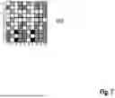 Fig. 08 - TEXTILE FABRIC