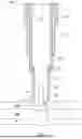 Fig. 02 - SACRIFICIAL TOOL FOR PLUGGING AND ABANDONING A WELLBORE AND METHODS THEREOF