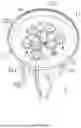 Fig. 04 - Tentacle animal bionic lamp