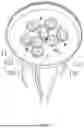 Fig. 05 - Tentacle animal bionic lamp