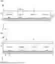 Fig. 03 - Lighting apparatus and automotive lamp comprising same