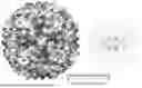 Fig. 01 - APPLICATION OF METALLO-SUPRAMOLECULAR BRANCHED POLYMERS IN CRYO-ELECTRON MICROSCOPY SAMPLE PREPARATION