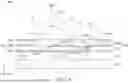 Fig. 02 - ELECTRONIC DEVICE INCLUDING OPTICAL SENSING ELEMENT