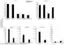Fig. 14 - USE OF HSP70 AS A REGULATOR OF ENZYMATIC ACTIVITY