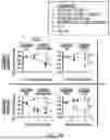 Fig. 17 - COMPOSITIONS AND METHODS FOR TREATING CANCER WITH SELF-DRIVING CHIMERIC ANTIGEN RECEPTORS
