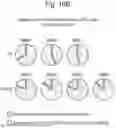 Fig. 40 - COMBINATION THERAPY FOR CANCER