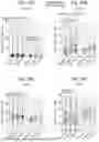 Fig. 49 - COMBINATION THERAPY FOR CANCER