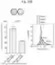 Fig. 63 - COMBINATION THERAPY FOR CANCER
