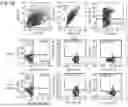 Fig. 69 - COMBINATION THERAPY FOR CANCER