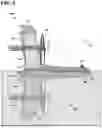 Fig. 09 - NAVIGABLE AERONAUTICAL AND NAUTICAL CRAFT