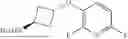 Fig. 303 - 1,3-SUBSTITUTED CYCLOBUTYL DERIVATIVES AND USES THEREOF