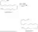 Fig. 41 - PHOSPHOLIPID COMPOUNDS AND METHODS OF MAKING AND USING THE SAME