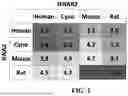 Fig. 02 - INTERFERON ALPHA-2 VARIANTS