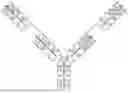 Fig. 01 - MULTIVALENT ANTI-SPIKE PROTEIN BINDING MOLECULES AND USES THEREOF