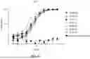 Fig. 06 - MULTIVALENT ANTI-SPIKE PROTEIN BINDING MOLECULES AND USES THEREOF