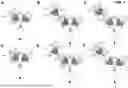 Fig. 02 - ANTIBODIES BINDING TO CSF1R AND CD3