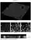 Fig. 30 - HOST-BIOME INTERACTIONS
