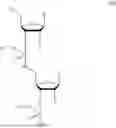 Fig. 06 - STABILIZATION OF OLIGONUCLEOTIDE AND OLIGONUCLEOTIDE-PROTEIN COMPLEX USING ALKYLATED PHOSPHATE