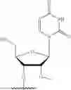 Fig. 28 - STABILIZATION OF OLIGONUCLEOTIDE AND OLIGONUCLEOTIDE-PROTEIN COMPLEX USING ALKYLATED PHOSPHATE