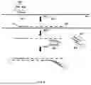 Fig. 09 - PROBE-BASED ANALYSIS OF NUCLEIC ACIDS AND PROTEINS