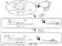 Fig. 19 - PROBE-BASED ANALYSIS OF NUCLEIC ACIDS AND PROTEINS