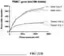 Fig. 33 - PROBE-BASED ANALYSIS OF NUCLEIC ACIDS AND PROTEINS