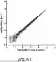 Fig. 34 - PROBE-BASED ANALYSIS OF NUCLEIC ACIDS AND PROTEINS