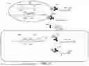 Fig. 35 - PROBE-BASED ANALYSIS OF NUCLEIC ACIDS AND PROTEINS