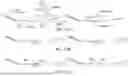 Fig. 40 - PROBE-BASED ANALYSIS OF NUCLEIC ACIDS AND PROTEINS