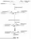 Fig. 41 - PROBE-BASED ANALYSIS OF NUCLEIC ACIDS AND PROTEINS