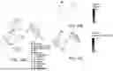 Fig. 46 - PROBE-BASED ANALYSIS OF NUCLEIC ACIDS AND PROTEINS