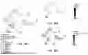 Fig. 49 - PROBE-BASED ANALYSIS OF NUCLEIC ACIDS AND PROTEINS
