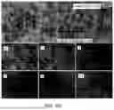 Fig. 09 - PEROVSKITE-BASED NANOCOMPOSITE (PTNC) MATERIAL-BASED ELECTRODE AND METHOD OF PREPARATION THEREOF FOR ELECTROCATALYTIC HYDROGEN EVOLUTION REACTION