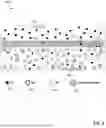Fig. 06 - MEMBRANE-BASED ION EXCHANGE SYSTEM