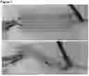 Fig. 08 - SHAPE MORPHING FABRICS AND ADAPTIVE FABRICS COMPRISING COMPRESSIBLE FIBERS