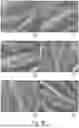 Fig. 07 - ANTIMICROBIAL FINISH FOR TEXTILES