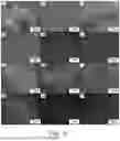 Fig. 08 - ANTIMICROBIAL FINISH FOR TEXTILES