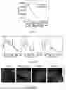 Fig. 02 - OPTICAL-FIBER RAMAN PHOTOMETER, CONSTRUCTION METHOD THEREFOR AND APPLICATION THEREOF