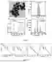 Fig. 03 - OPTICAL-FIBER RAMAN PHOTOMETER, CONSTRUCTION METHOD THEREFOR AND APPLICATION THEREOF