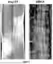 Fig. 06 - Electromagnetic Inductive Coupling Analysis (EMICA) for on-board or in-lab detection of defects in thick or thin carbon fiber laminates