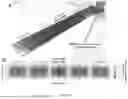 Fig. 14 - Electromagnetic Inductive Coupling Analysis (EMICA) for on-board or in-lab detection of defects in thick or thin carbon fiber laminates