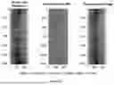 Fig. 32 - Electromagnetic Inductive Coupling Analysis (EMICA) for on-board or in-lab detection of defects in thick or thin carbon fiber laminates